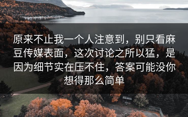 原来不止我一个人注意到，别只看麻豆传媒表面，这次讨论之所以猛，是因为细节实在压不住，答案可能没你想得那么简单