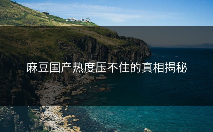 麻豆国产热度压不住的真相揭秘