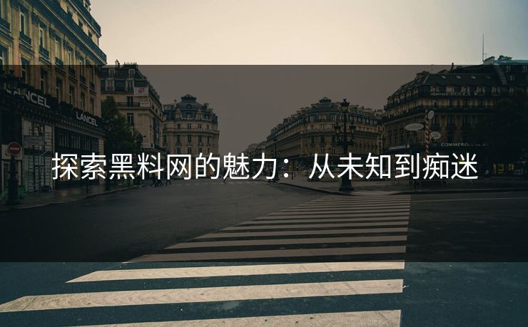 探索黑料网的魅力：从未知到痴迷