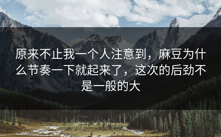 原来不止我一个人注意到，麻豆为什么节奏一下就起来了，这次的后劲不是一般的大