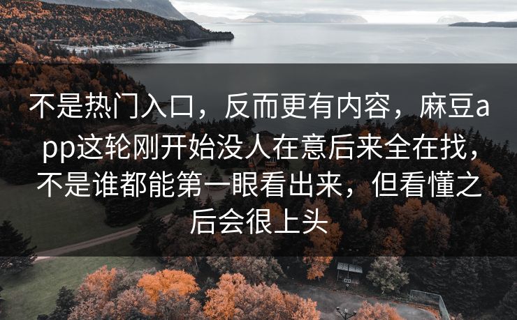 不是热门入口，反而更有内容，麻豆app这轮刚开始没人在意后来全在找，不是谁都能第一眼看出来，但看懂之后会很上头