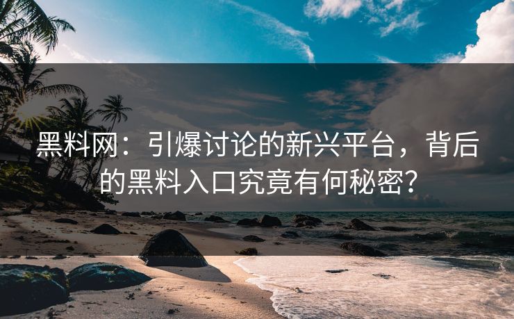 黑料网：引爆讨论的新兴平台，背后的黑料入口究竟有何秘密？
