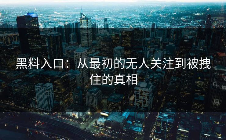 黑料入口：从最初的无人关注到被拽住的真相